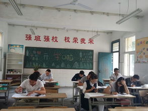 點航教育之一學歷咨詢篇 精準規劃，點亮升學之路